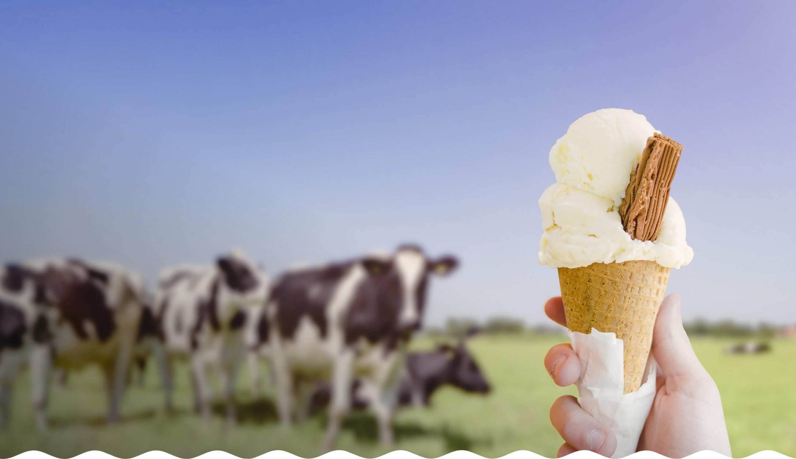 An ice cream farm ice cream cone
